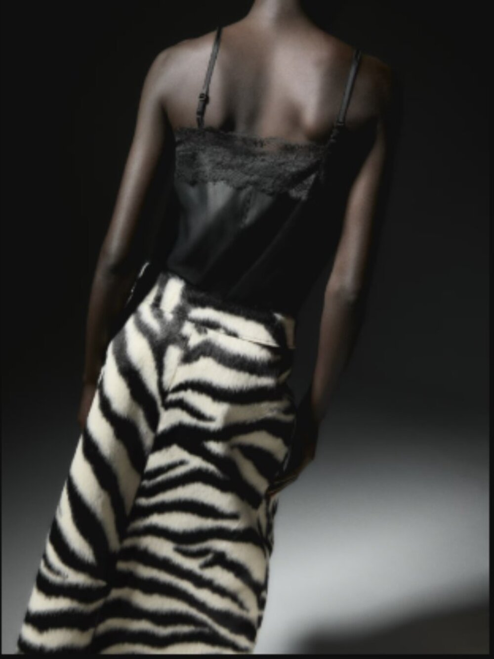 H&M Zip-Front Zebra Skirt - Picture 5 of 10